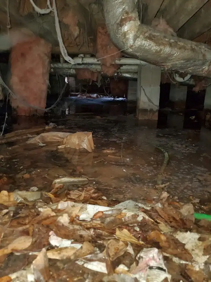 Crawl space flood assessment for Leak Detection & Repair in Holmen